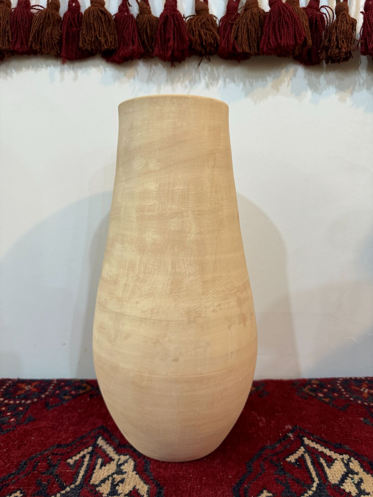 ساده شکم دار