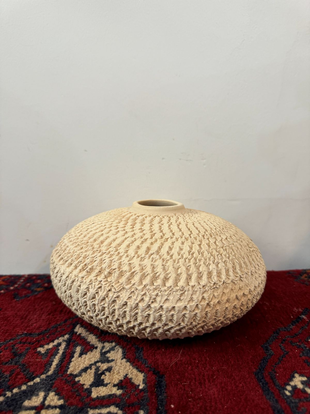 عدسی میخی کوچک
